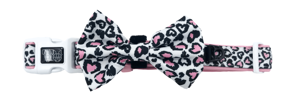 Collar & Bow Tie