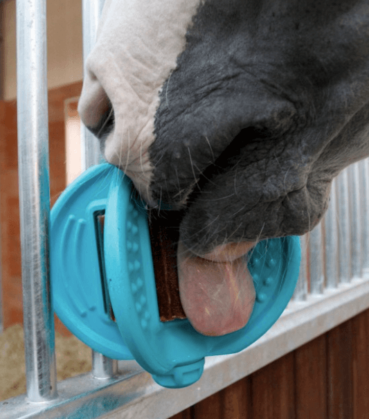 Bizzy Ball Leckstein Halterung Pferd, Aquamarin, Pferd schleckt an der Halterung im Stall.