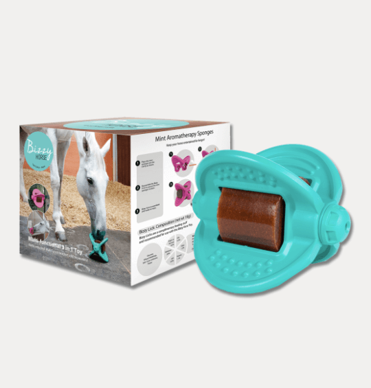 Bizzy Ball Leckstein Halterung Pferd, Aquamarin, Produkt allein mit Verpackung und Leckstein.