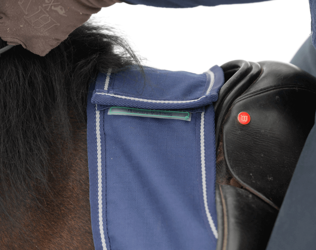 Ausreitdecke Riding Rug