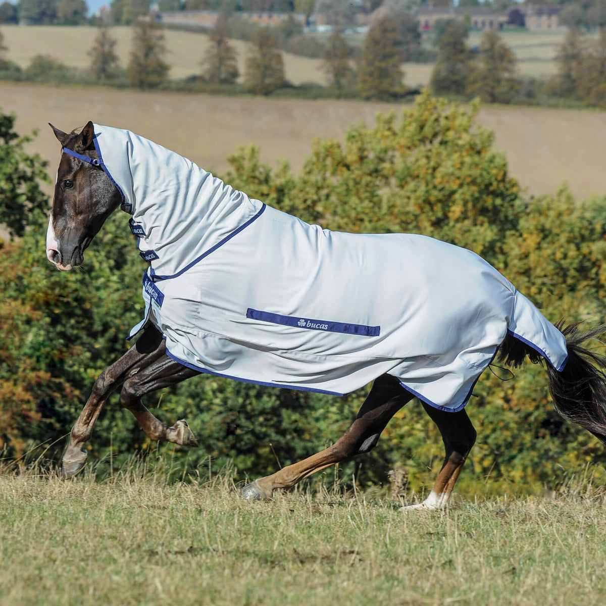 Fliegendecke Buzz-Off Full Neck Decke