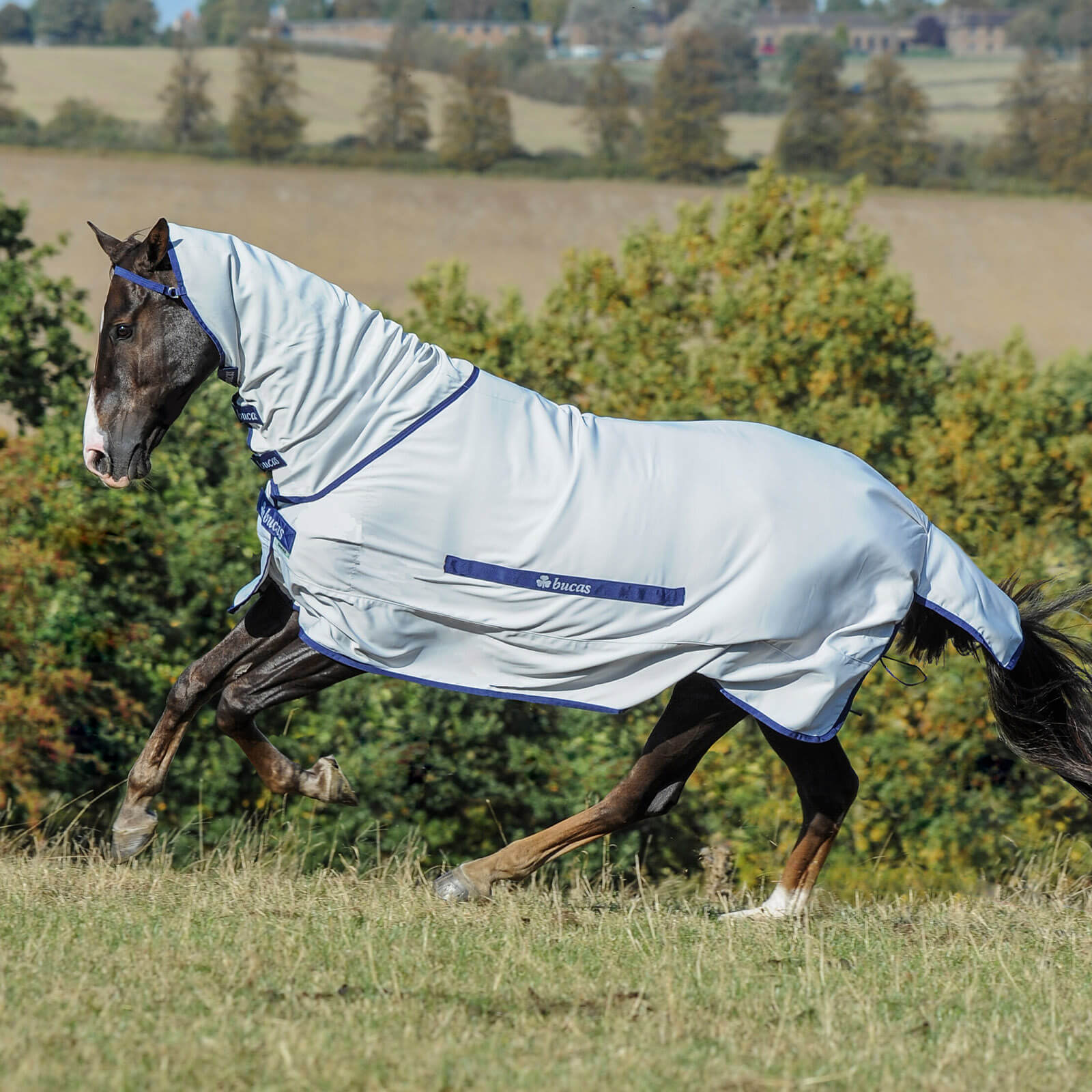 Fliegendecke Buzz-Off Full Neck Decke