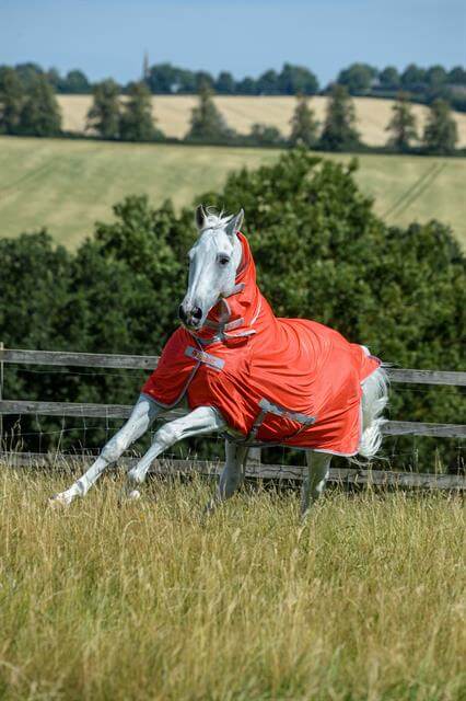 Fliegendecke Freedom Fly Sheet Full Neck Insektenschutzdecke