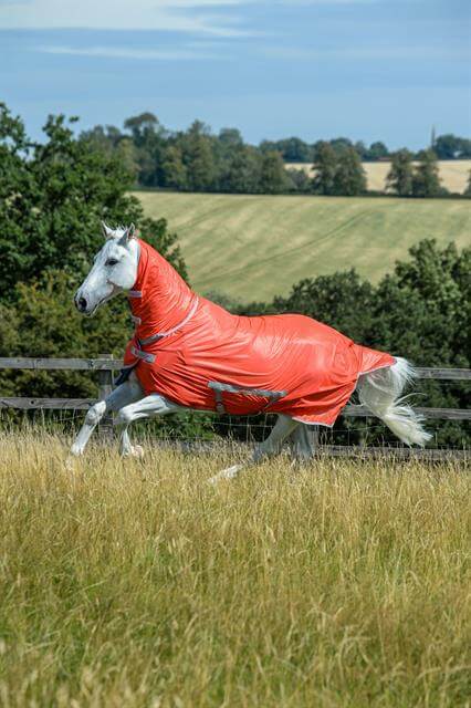 Fliegendecke Freedom Fly Sheet Full Neck Insektenschutzdecke