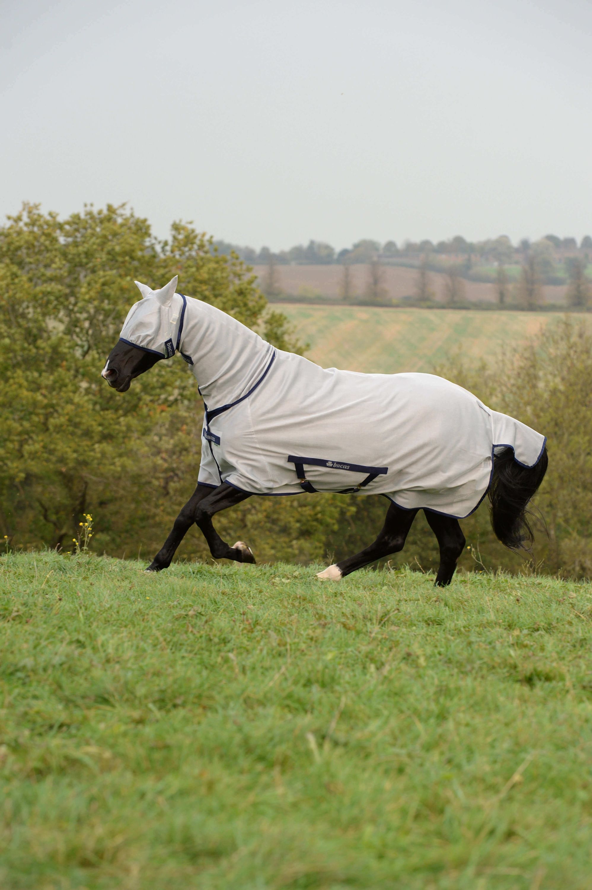 Fliegendecke Freedom Fly Sheet Full Neck Insektenschutzdecke