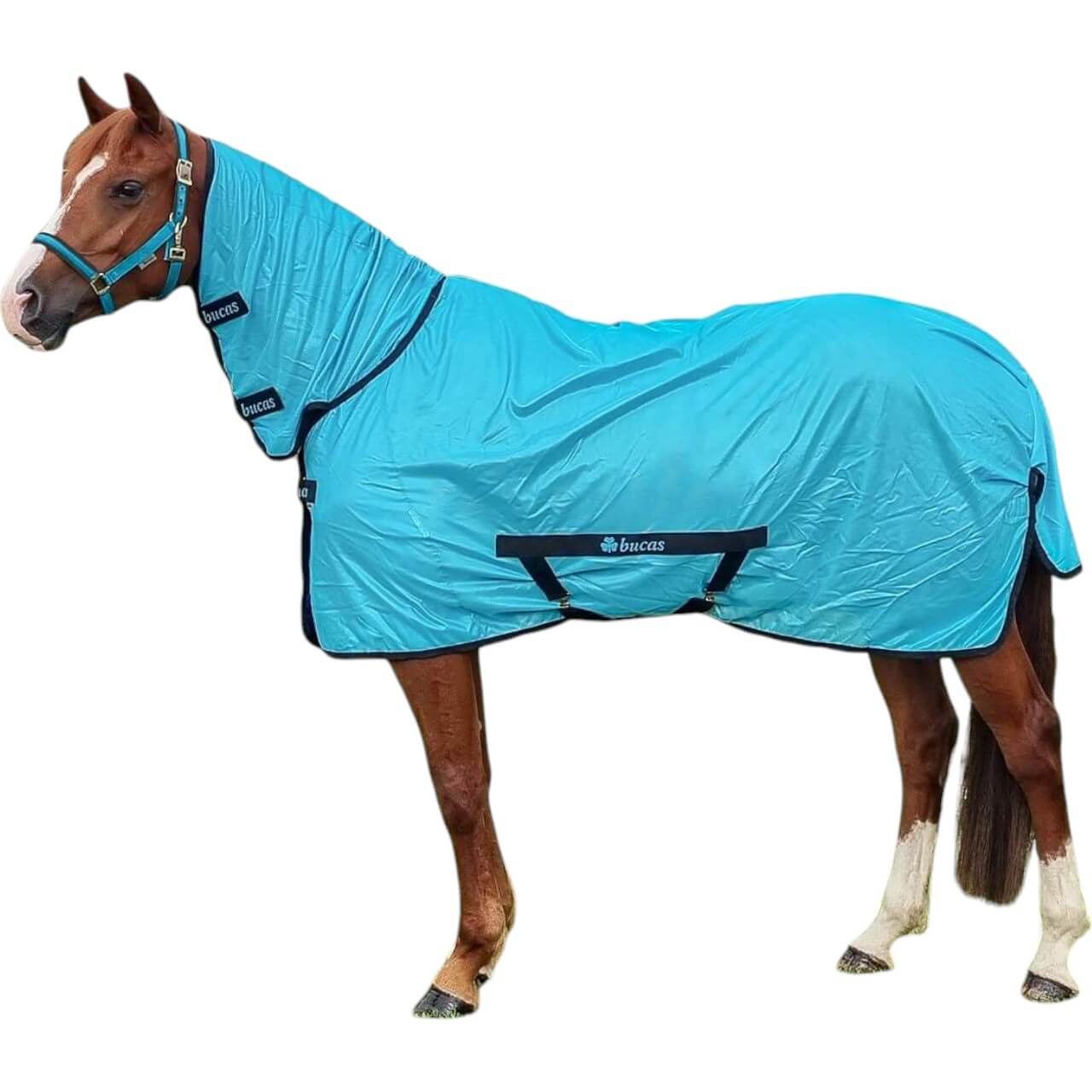 Fliegendecke Freedom Fly Sheet Full Neck Insektenschutzdecke