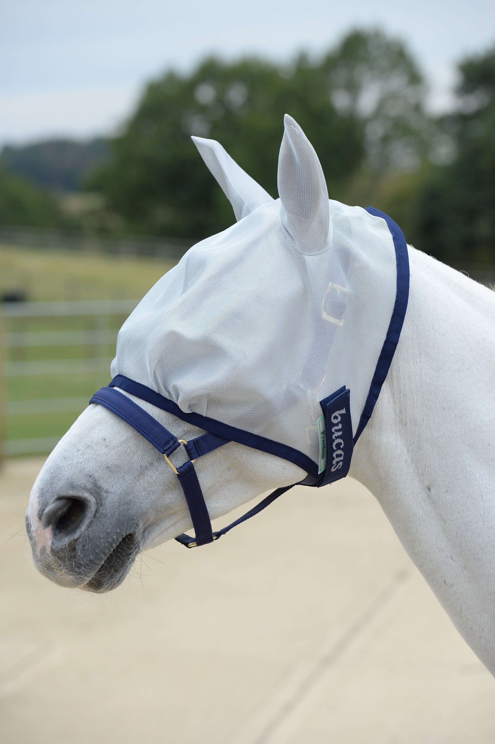 Fliegenmaske Freedom Fly Mask Fliegenhaube Insektenschutz