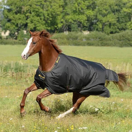 50 g-os Irish Turnout Light legelőtakaró
