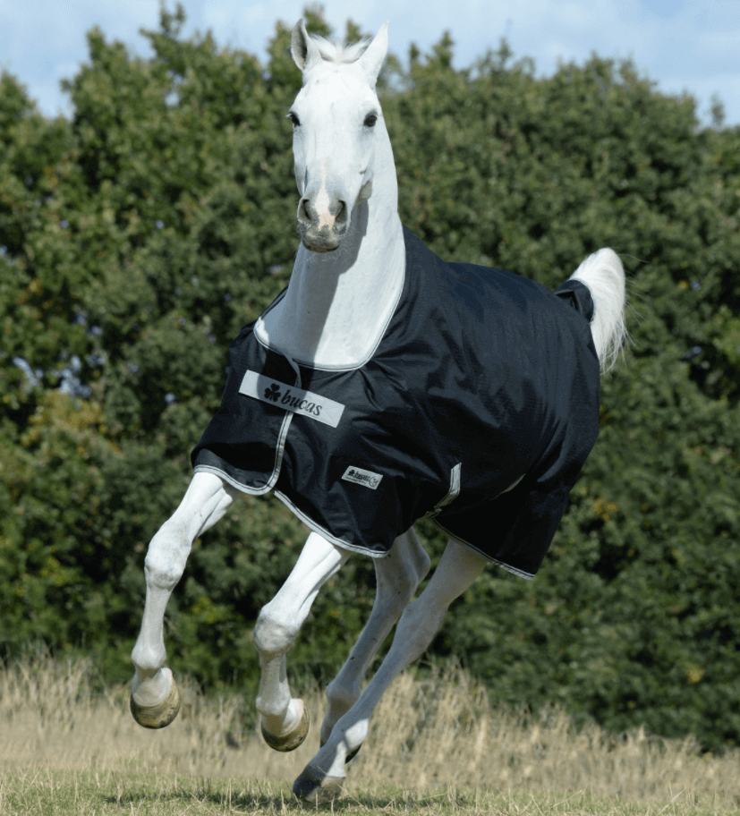 Outdoordecke 0g Anniversary Turnout Light Regendecke