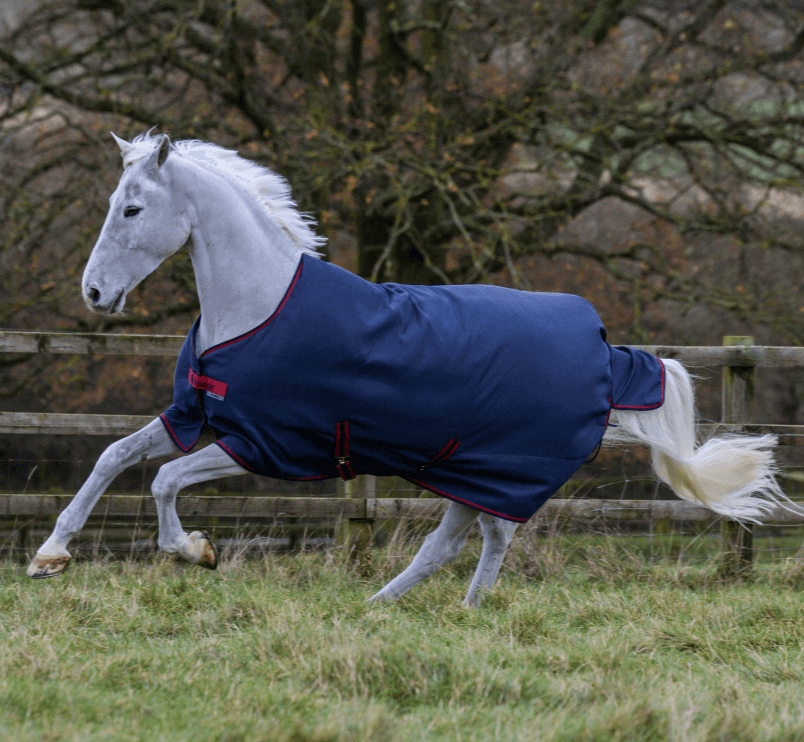 Outdoordecke 150g Freedom Turnout HW 2022