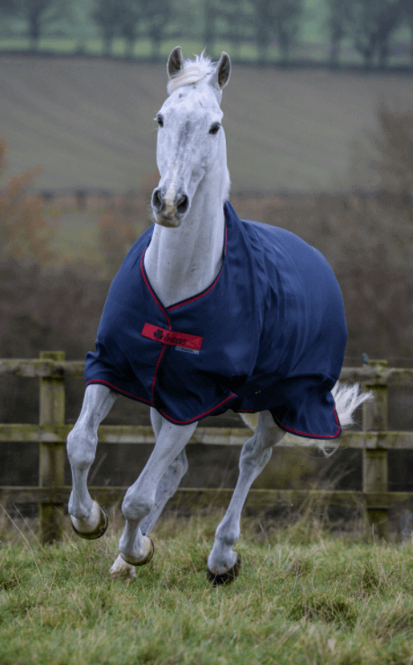 Outdoordecke 150g Freedom Turnout HW 2022