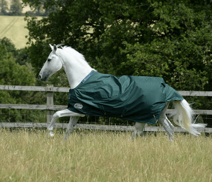 Outdoordecke 100g Greenline Turnout Weidedecke, Green, Pferd auf der Weide mit Decke.