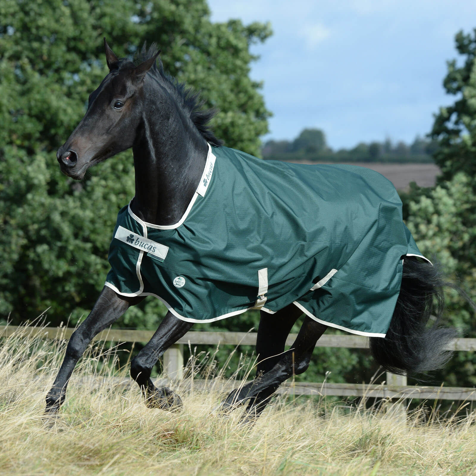 Bucas Outdoordecke 100g Greenline Turnout Weidedecke, Grün, Pferd auf der Weide.