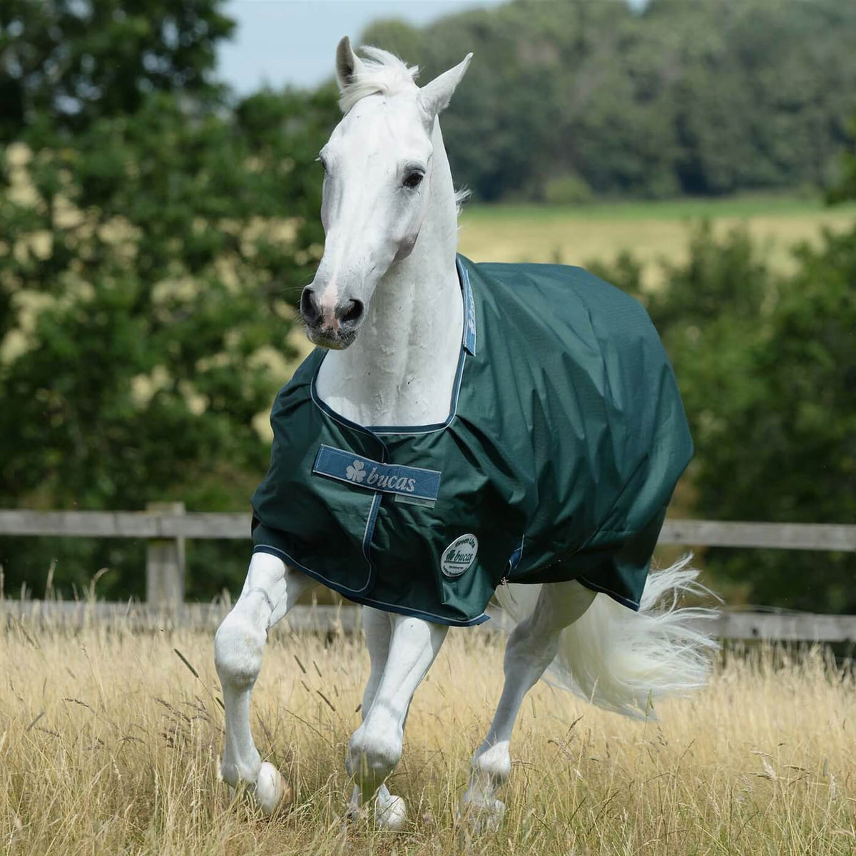 Bucas Outdoordecke 100g Greenline Turnout Weidedecke, Greenline, Pferd auf der Weide.