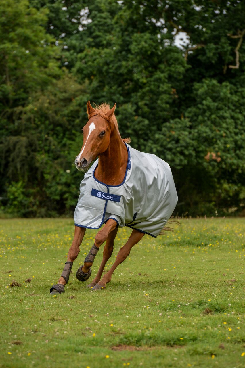 Bucas Outdoordecke 0g Power Turnout Light, Silber, Pferd auf der Weide.