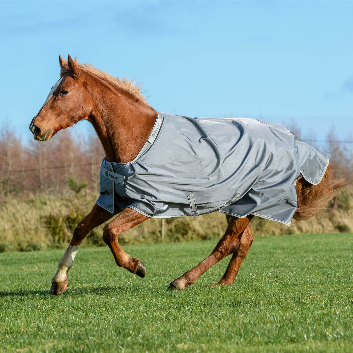Outdoordecke 300g Smartex Turnout Extra Weidedecke