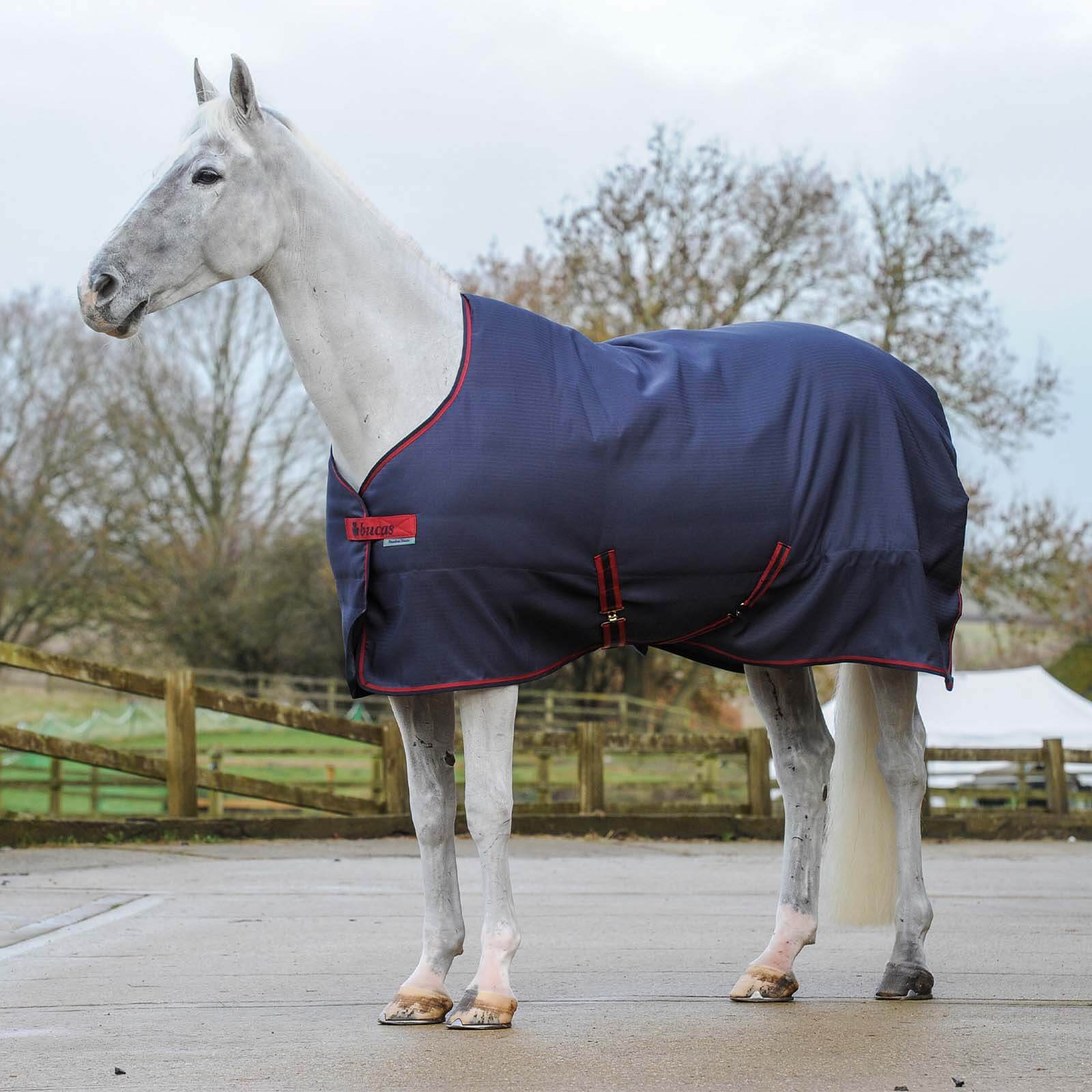 Stalldecke 300g Freedom Stable
