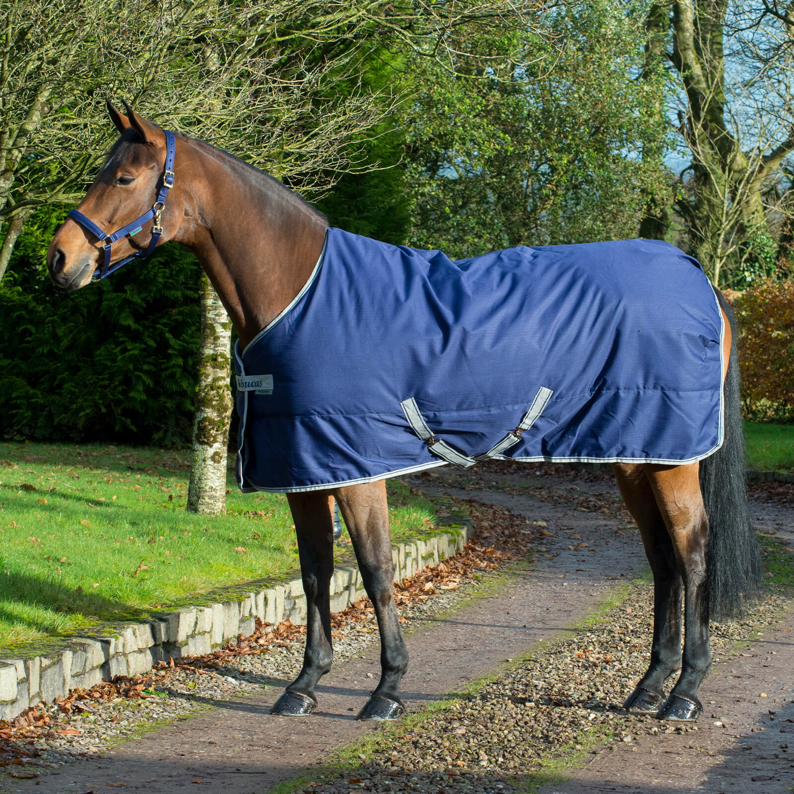 Stalldecke 300g Freedom Stable