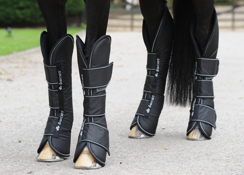Transportgamaschen Freedom 4er- Set