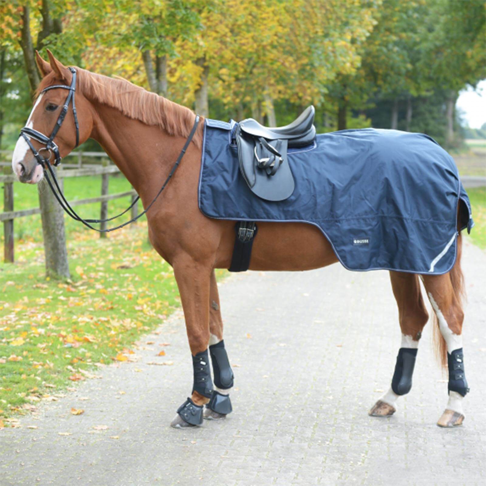 Ausreitdecke 100g Raintrainer Reitdecke