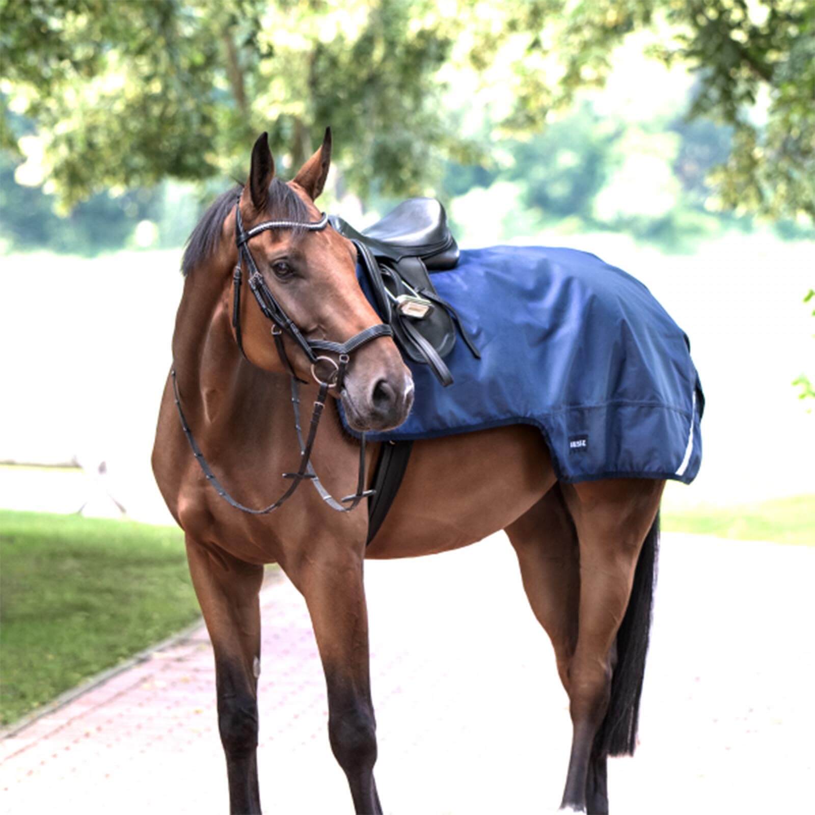 Ausreitdecke 100g Raintrainer Reitdecke