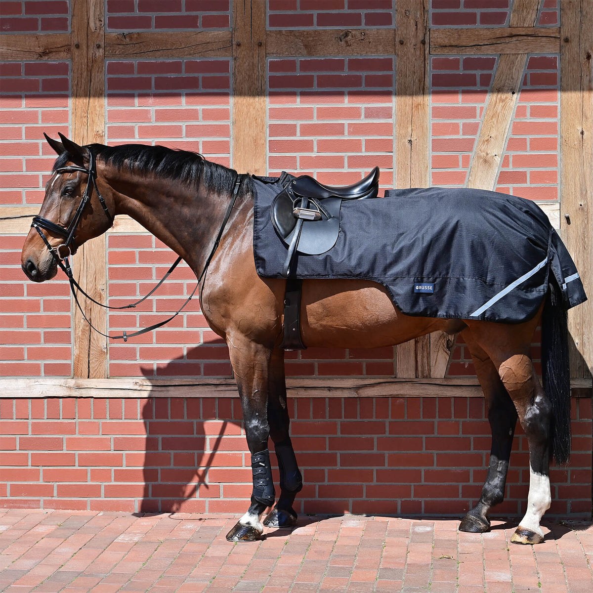 Ausreitdecke 100g Raintrainer Reitdecke, Schwarz, Pferd mit Decke vor Ziegelwand.