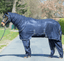 Navy (Grau)