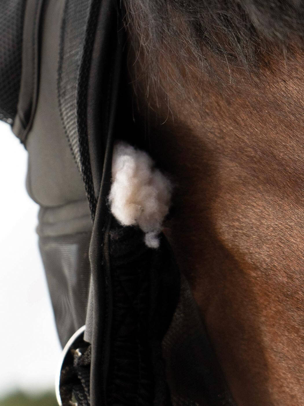 Fliegenhalfter Fast Halfter mit Fliegenmaske Insektenschutz