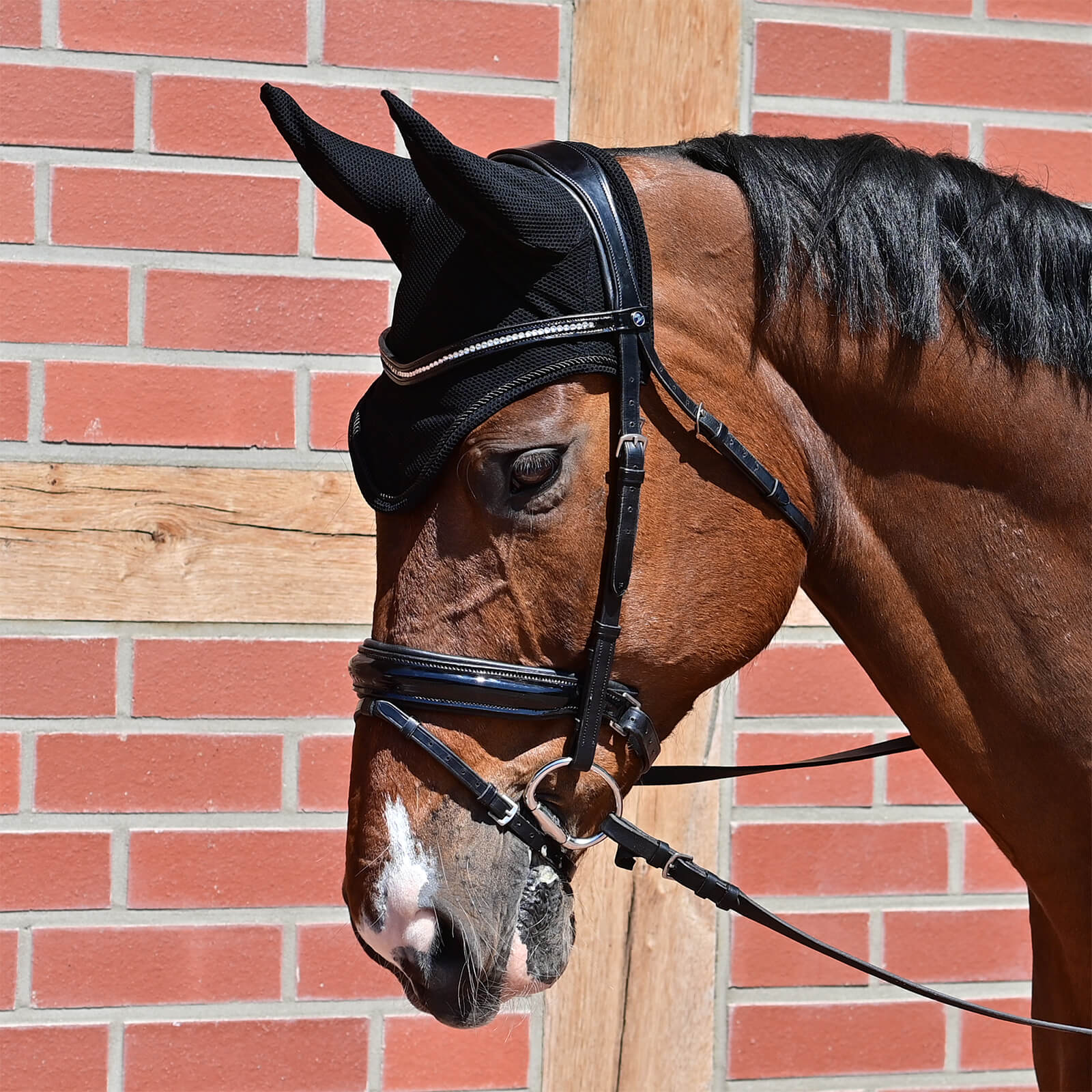Fliegenhaube Fly-Air Mesh