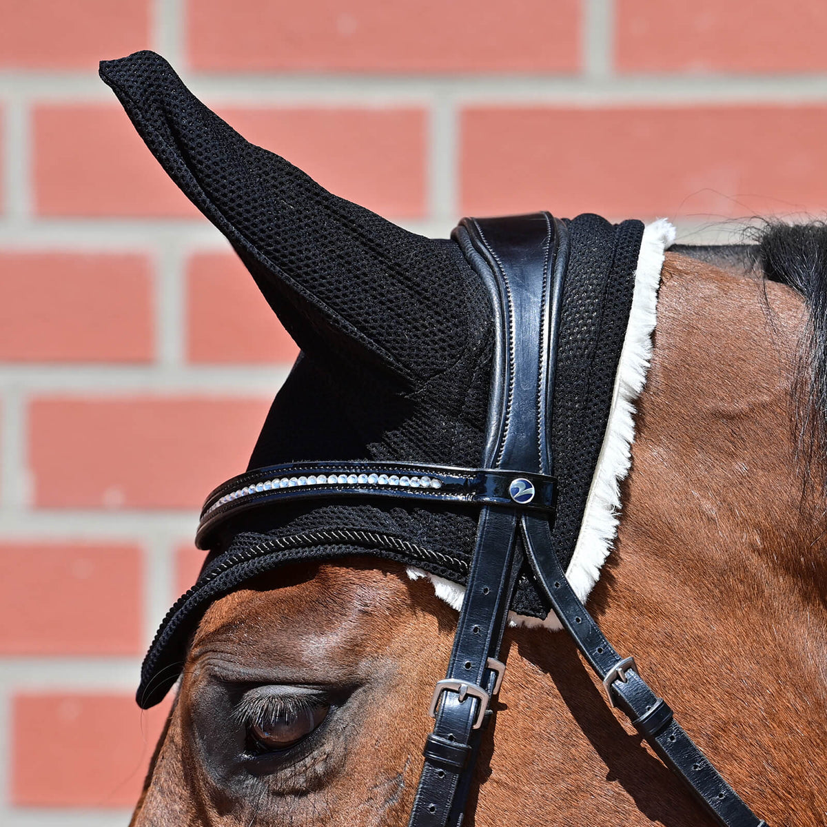 Fliegenhaube Fly-Air Pro Fliegenmütze, Schwarz, Pferd trägt sie.