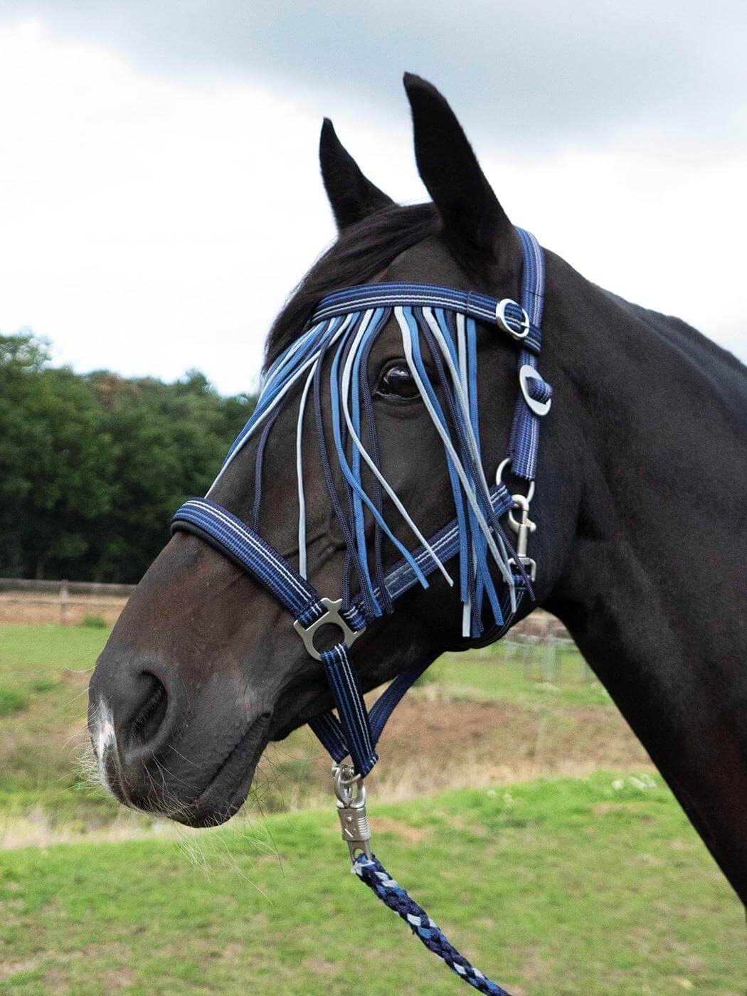 Fliegenkordelband Tampere Fliegenstirnband, Denim/Grey/Navy, Pferd trägt das Produkt im Freien.