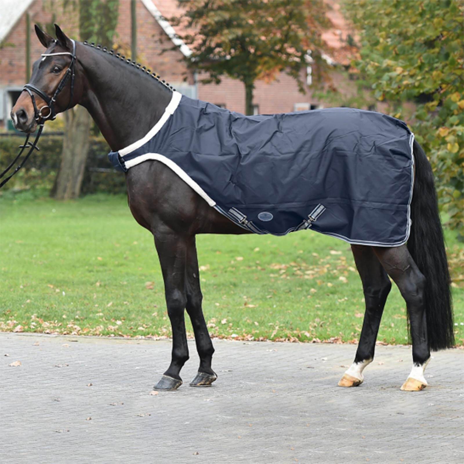 Führanlagendecke 100g Walking