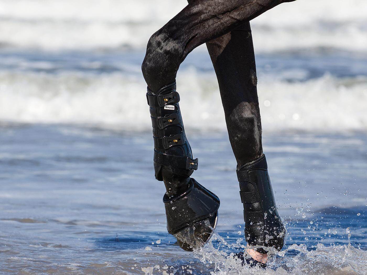 Gamaschen Dressage- Pro Beinschutz