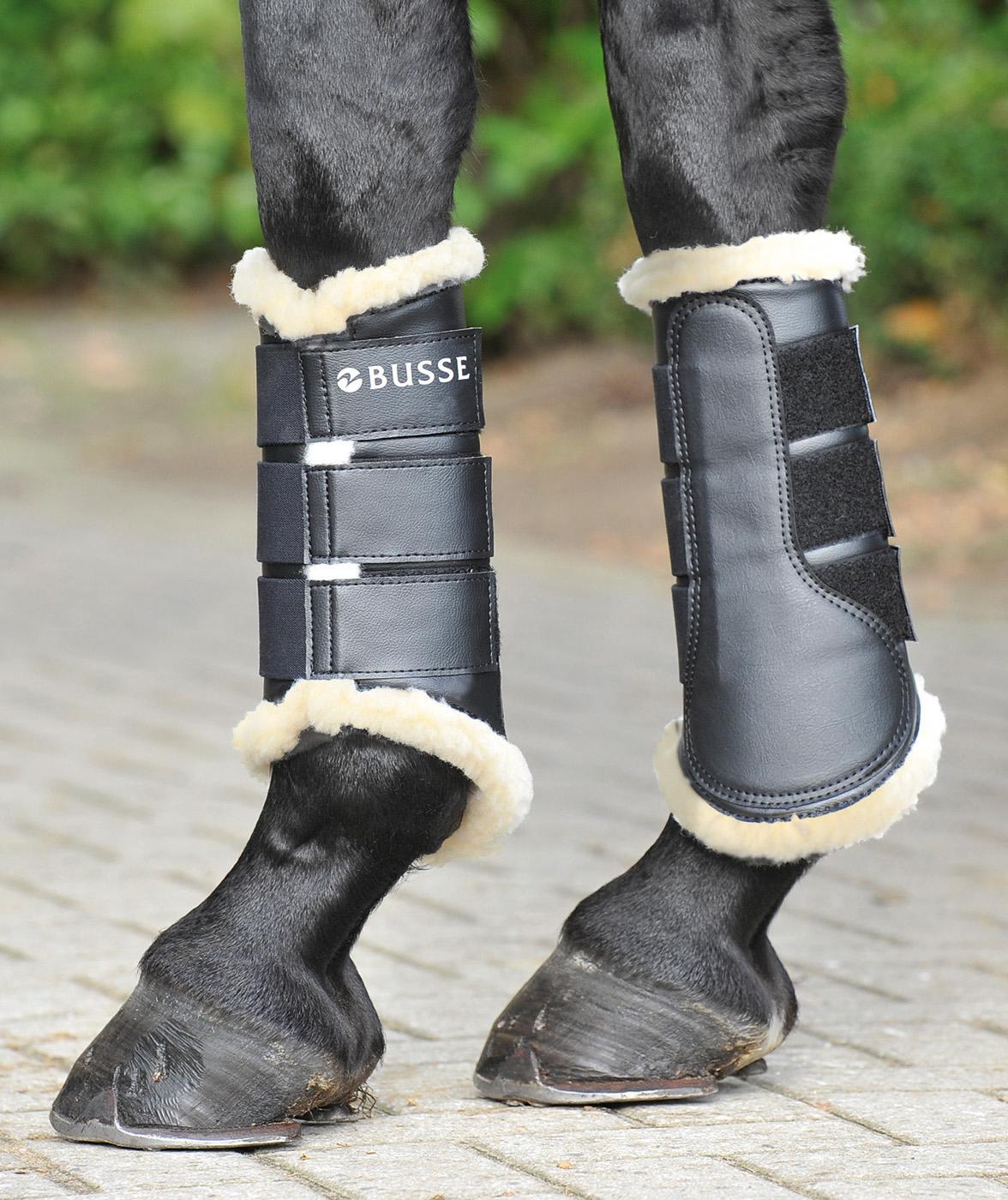 BUSSE Gamaschen St. Georges Dressurgamaschen, Schwarz, an Pferdebeinen getragen.