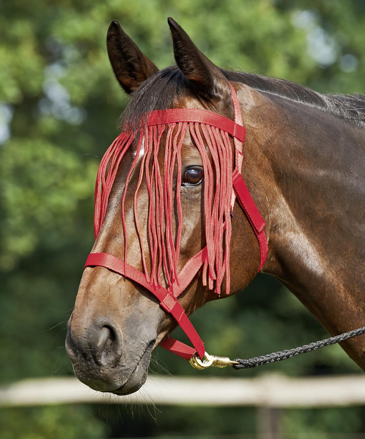 Halfter Weide- Fransen Stallhalfter