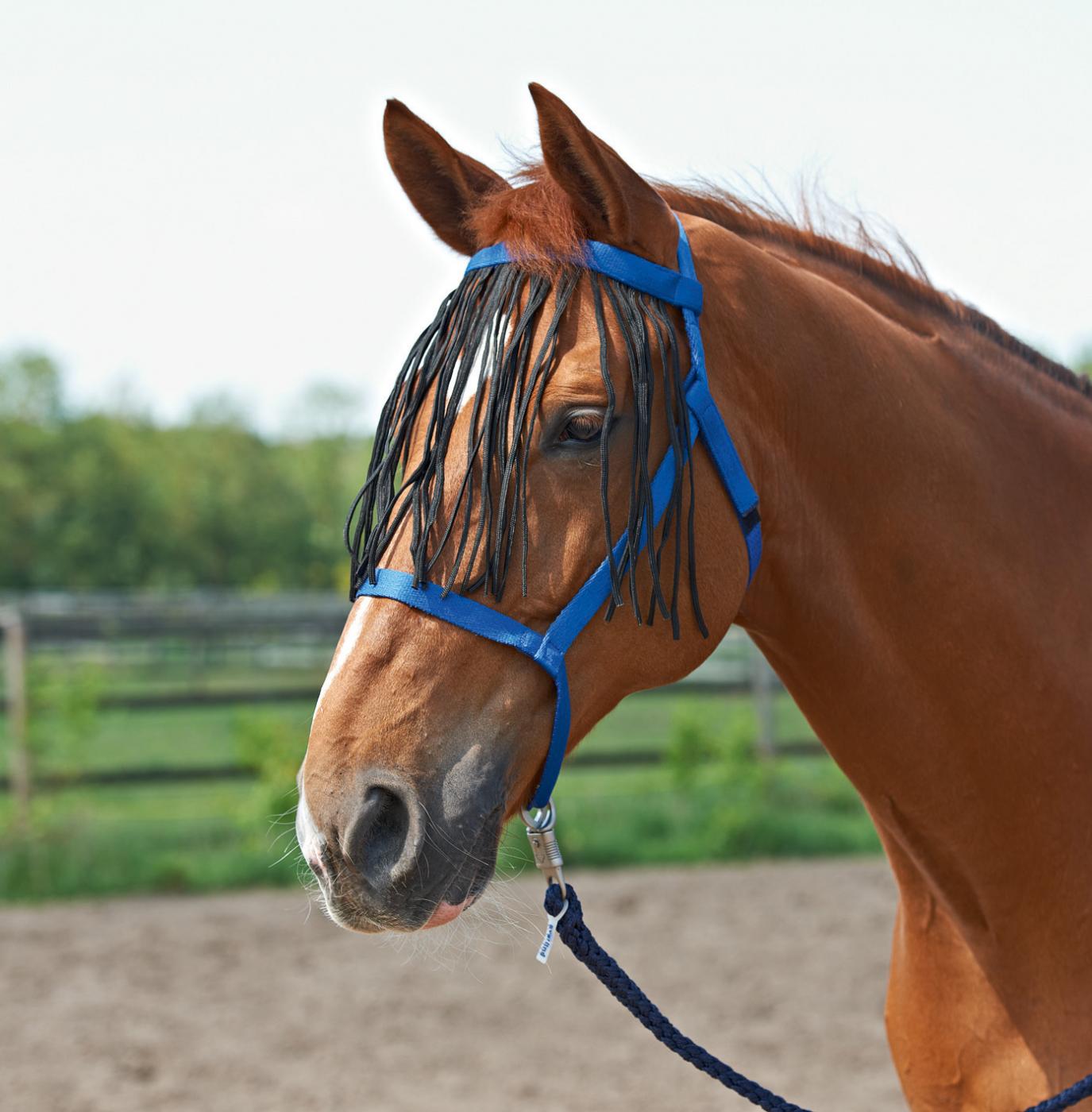 Halfter Weide- Fransen Stallhalfter