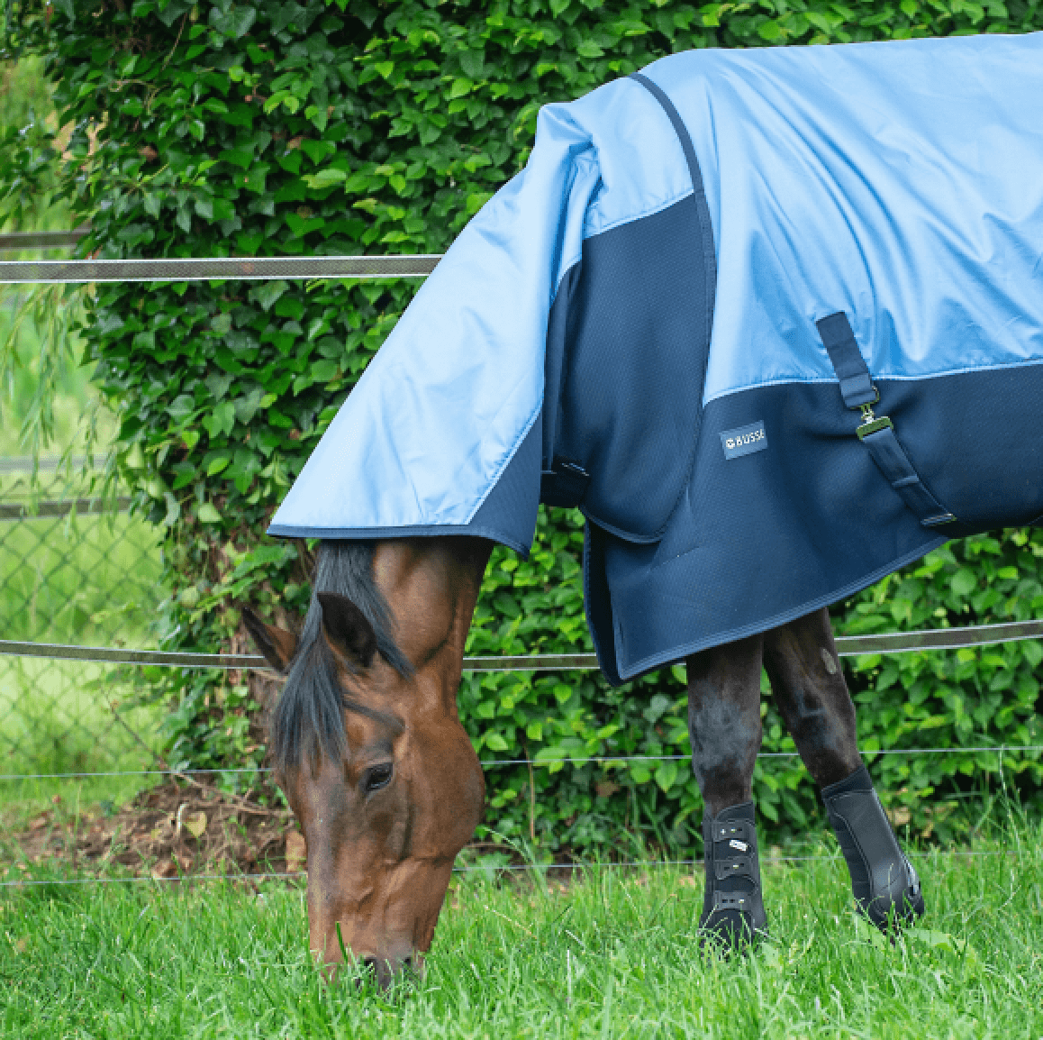 Halsteil 3D Air Rain, Pferd mit Halsteil in Blau auf der Weide.