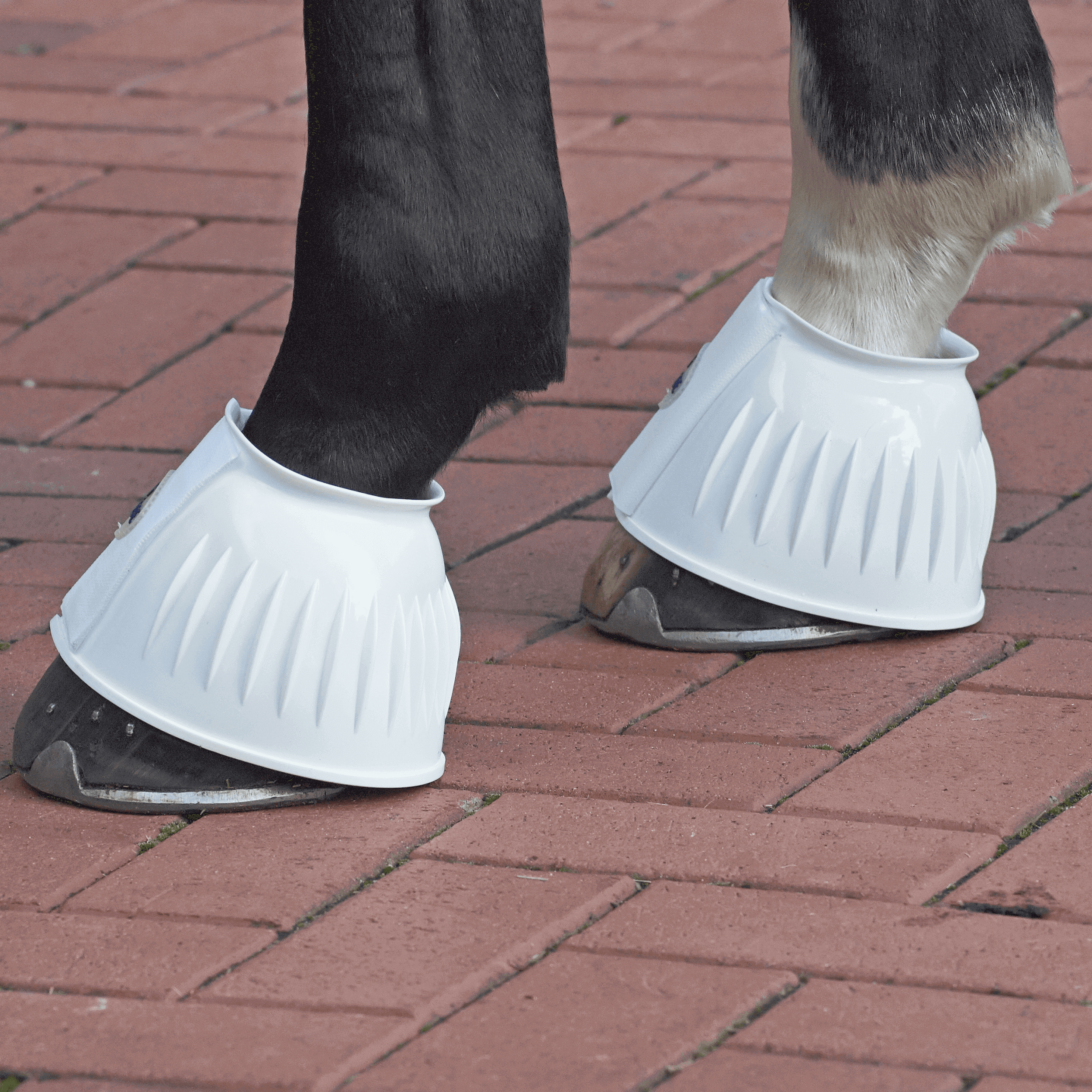 Hufglocken Sturdy Klettverschluss Gummiglocken