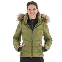 Winter Olive