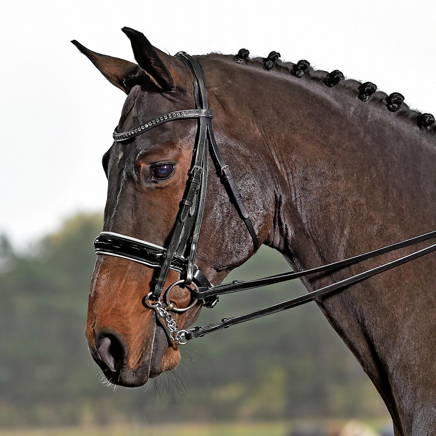 Kandare Luxury Kandarenzaum Lederkandare mit Zügel