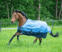Eisblau/Navy