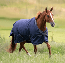 Navy (Grau)