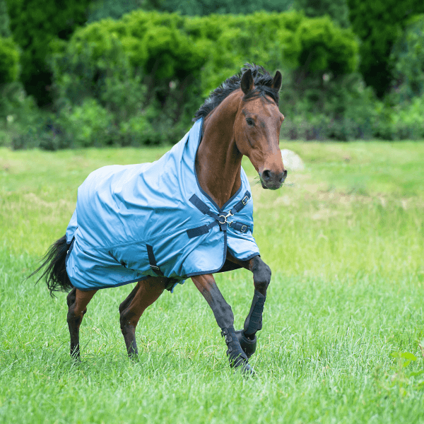 Outdoordecke 0g Rain-Dear Regendecke, Eisblau (Navy), Pferd auf der Weide.