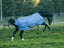 Eisblau (Navy)