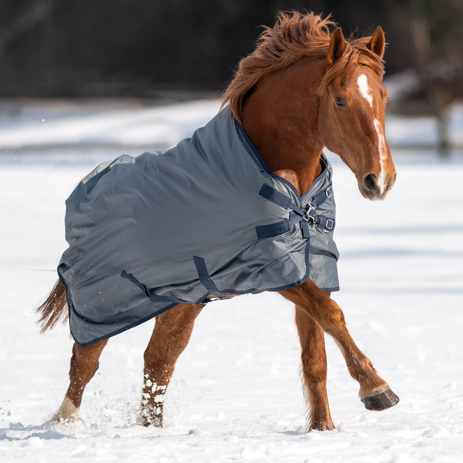 Outdoordecke 0g Windchill Regendecke
