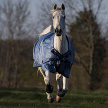 Eisblau (Navy)