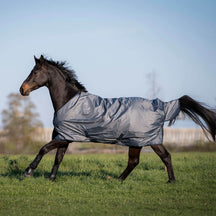 Grau (Navy)