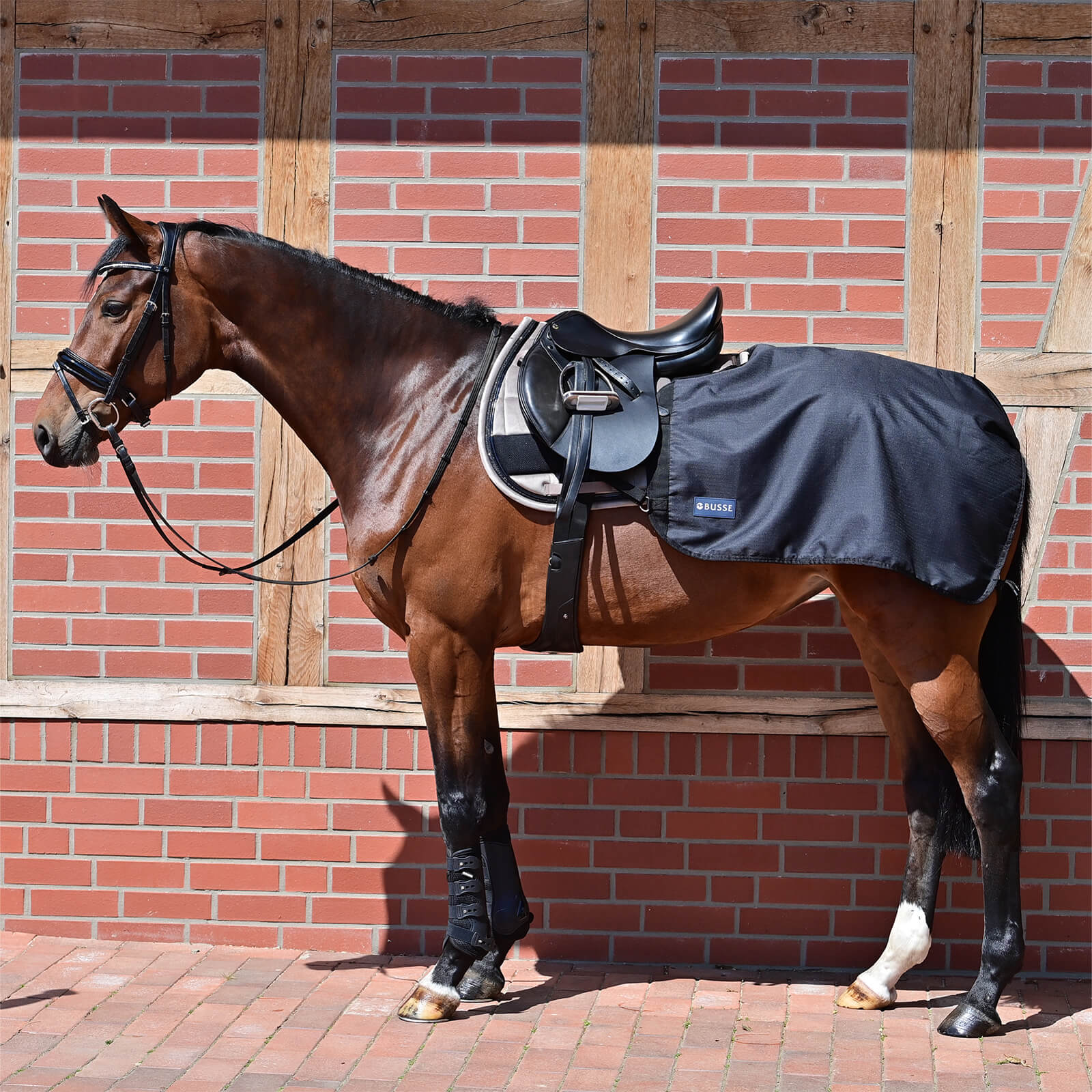 Trainingsdecke 50g Rain Ausreitdecke