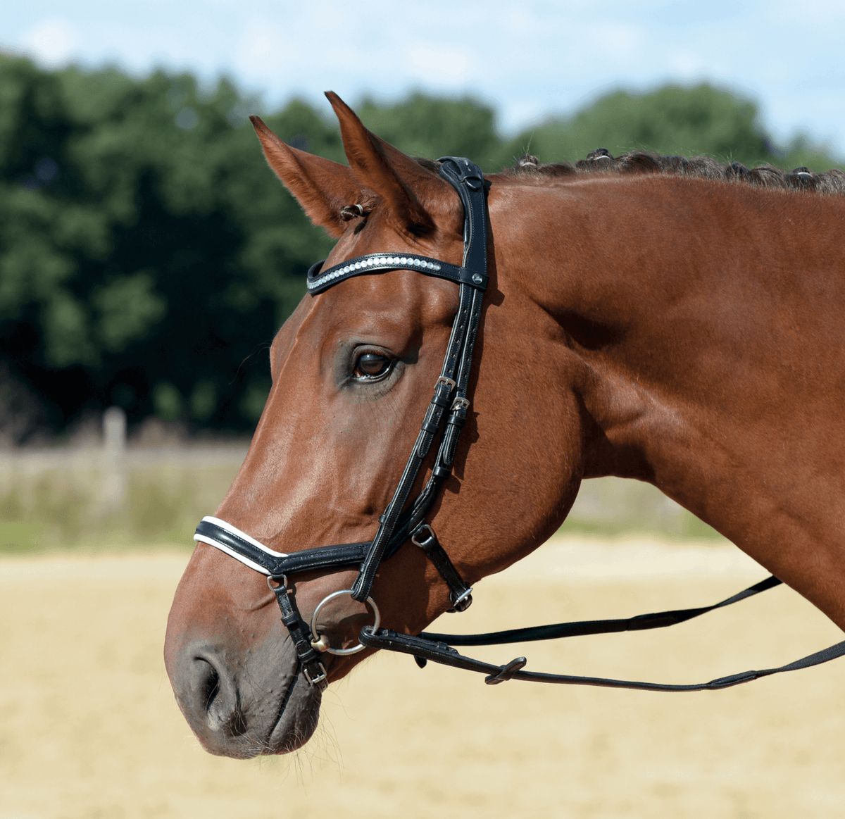 Hoofdstel Emotion met gecombineerde neusriem en teugels