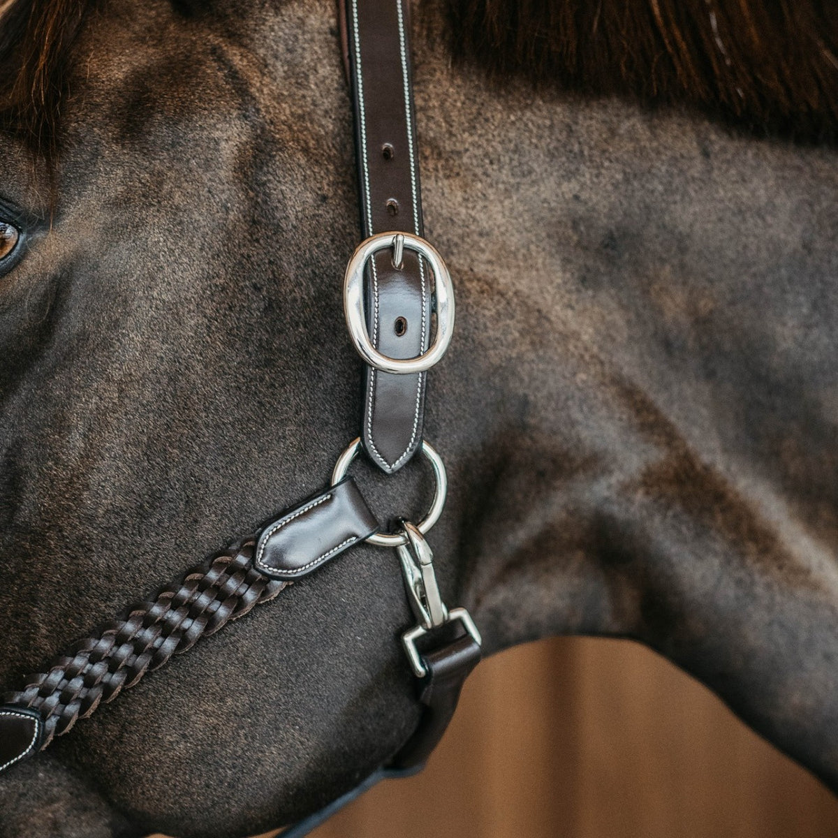 Lederhalfter Plaited